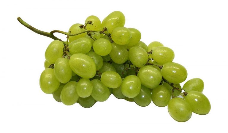 table grapes 74344 1280 768x449
