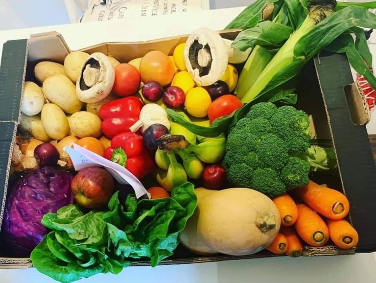 73184777 143824813669052 1299150134419914752 n 768x578