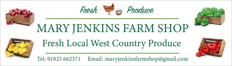 Shop Vinyl Nov2018 768x218