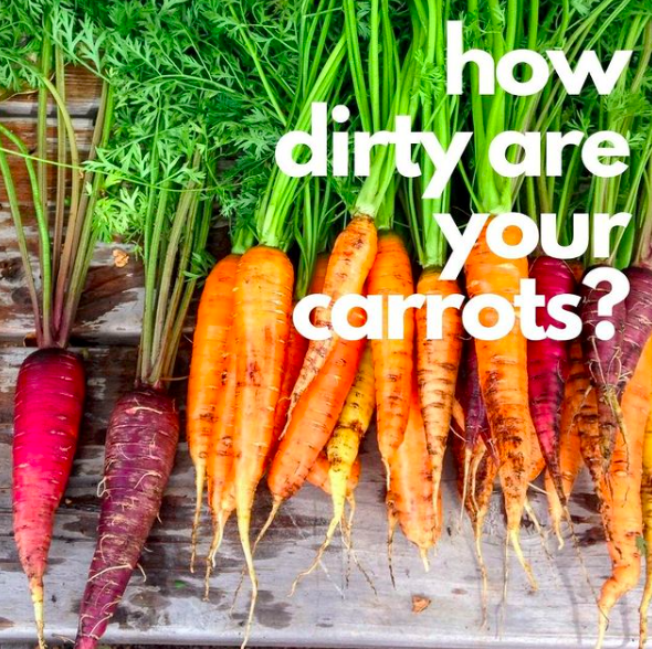 organic carrots vegbox