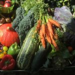 The Essex Herb Company