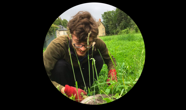 Screen Shot 2022 01 28 at 15.20.52 1 768x453