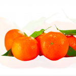 Groceries for the Office