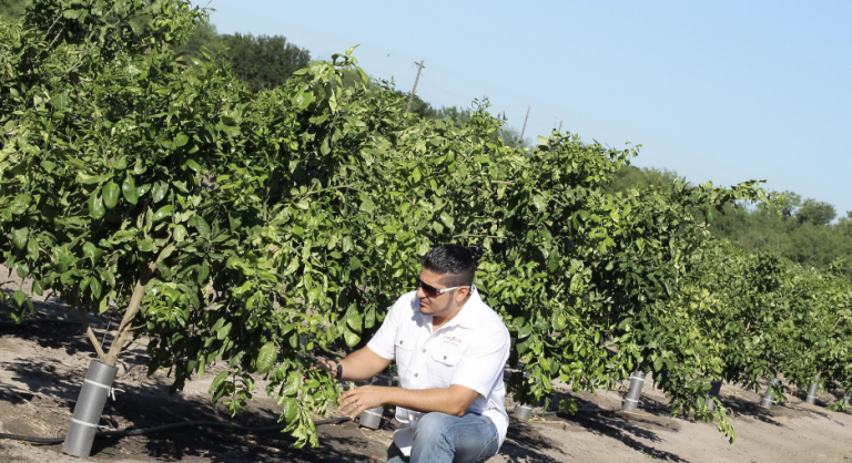 Screenshot 2023 04 14 113851 768x418