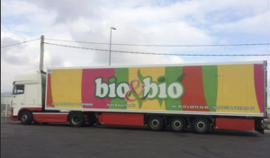 Bio Bio Fruit Wholesalers